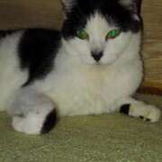 ヒメ日記 2025/01/04 12:06 投稿 ユーコ☆金津随一の神業テク ヴィーナス(金津園)