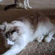 ヒメ日記 2025/01/05 12:18 投稿 ユーコ☆金津随一の神業テク ヴィーナス(金津園)