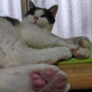 ヒメ日記 2025/01/05 12:48 投稿 ユーコ☆金津随一の神業テク ヴィーナス(金津園)