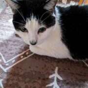 ヒメ日記 2025/01/06 17:36 投稿 ユーコ☆金津随一の神業テク ヴィーナス(金津園)