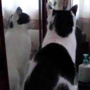 ヒメ日記 2025/01/07 18:03 投稿 ユーコ☆金津随一の神業テク ヴィーナス(金津園)