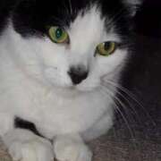 ヒメ日記 2025/01/14 12:27 投稿 ユーコ☆金津随一の神業テク ヴィーナス(金津園)