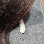 ヒメ日記 2025/01/15 18:12 投稿 ユーコ☆金津随一の神業テク ヴィーナス(金津園)