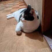 ヒメ日記 2025/01/17 17:48 投稿 ユーコ☆金津随一の神業テク ヴィーナス(金津園)