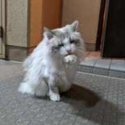 ヒメ日記 2025/01/18 12:19 投稿 ユーコ☆金津随一の神業テク ヴィーナス(金津園)