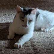 ヒメ日記 2025/01/19 22:06 投稿 ユーコ☆金津随一の神業テク ヴィーナス(金津園)