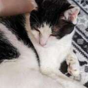 ヒメ日記 2025/01/21 18:04 投稿 ユーコ☆金津随一の神業テク ヴィーナス(金津園)