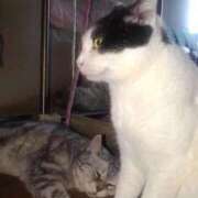 ヒメ日記 2025/01/28 20:03 投稿 ユーコ☆金津随一の神業テク ヴィーナス(金津園)