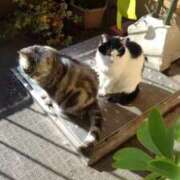 ヒメ日記 2025/01/31 18:27 投稿 ユーコ☆金津随一の神業テク ヴィーナス(金津園)