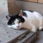 ヒメ日記 2025/02/01 12:12 投稿 ユーコ☆金津随一の神業テク ヴィーナス(金津園)