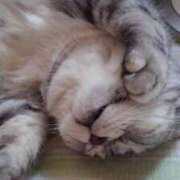 ヒメ日記 2025/02/03 19:36 投稿 ユーコ☆金津随一の神業テク ヴィーナス(金津園)