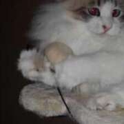 ヒメ日記 2025/02/04 17:03 投稿 ユーコ☆金津随一の神業テク ヴィーナス(金津園)