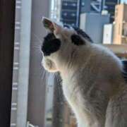 ヒメ日記 2025/02/05 17:21 投稿 ユーコ☆金津随一の神業テク ヴィーナス(金津園)