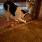 ヒメ日記 2025/02/06 12:06 投稿 ユーコ☆金津随一の神業テク ヴィーナス(金津園)