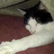 ヒメ日記 2025/02/08 20:57 投稿 ユーコ☆金津随一の神業テク ヴィーナス(金津園)