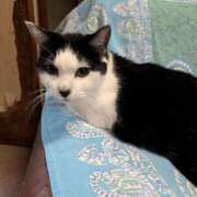 ヒメ日記 2025/02/09 19:57 投稿 ユーコ☆金津随一の神業テク ヴィーナス(金津園)