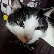 ヒメ日記 2025/02/10 17:42 投稿 ユーコ☆金津随一の神業テク ヴィーナス(金津園)