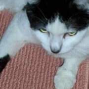 ヒメ日記 2025/02/14 18:12 投稿 ユーコ☆金津随一の神業テク ヴィーナス(金津園)