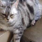 ヒメ日記 2025/02/15 12:19 投稿 ユーコ☆金津随一の神業テク ヴィーナス(金津園)