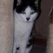 ヒメ日記 2025/02/17 17:48 投稿 ユーコ☆金津随一の神業テク ヴィーナス(金津園)