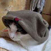 ヒメ日記 2025/02/18 18:03 投稿 ユーコ☆金津随一の神業テク ヴィーナス(金津園)