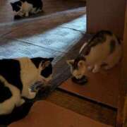 ヒメ日記 2025/02/19 17:57 投稿 ユーコ☆金津随一の神業テク ヴィーナス(金津園)