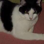 ヒメ日記 2025/02/20 21:36 投稿 ユーコ☆金津随一の神業テク ヴィーナス(金津園)