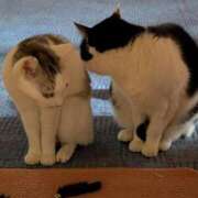 ヒメ日記 2025/02/21 18:04 投稿 ユーコ☆金津随一の神業テク ヴィーナス(金津園)