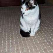 ヒメ日記 2025/02/23 20:21 投稿 ユーコ☆金津随一の神業テク ヴィーナス(金津園)