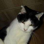 ヒメ日記 2025/02/24 17:48 投稿 ユーコ☆金津随一の神業テク ヴィーナス(金津園)