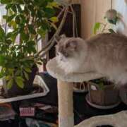 ヒメ日記 2025/02/25 18:36 投稿 ユーコ☆金津随一の神業テク ヴィーナス(金津園)