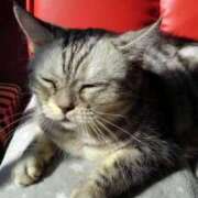 ヒメ日記 2025/02/27 12:07 投稿 ユーコ☆金津随一の神業テク ヴィーナス(金津園)