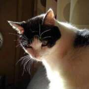 ヒメ日記 2025/03/01 12:12 投稿 ユーコ☆金津随一の神業テク ヴィーナス(金津園)