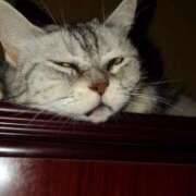 ヒメ日記 2025/03/02 12:28 投稿 ユーコ☆金津随一の神業テク ヴィーナス(金津園)