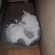 ヒメ日記 2025/03/02 21:42 投稿 ユーコ☆金津随一の神業テク ヴィーナス(金津園)