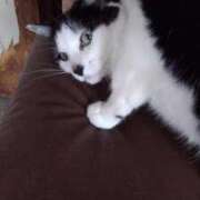 ヒメ日記 2025/03/04 19:12 投稿 ユーコ☆金津随一の神業テク ヴィーナス(金津園)