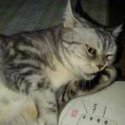 ヒメ日記 2025/03/05 17:49 投稿 ユーコ☆金津随一の神業テク ヴィーナス(金津園)