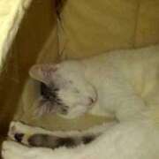 ヒメ日記 2025/03/06 12:22 投稿 ユーコ☆金津随一の神業テク ヴィーナス(金津園)