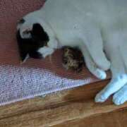 ヒメ日記 2025/03/07 17:48 投稿 ユーコ☆金津随一の神業テク ヴィーナス(金津園)