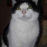 ヒメ日記 2025/03/08 12:18 投稿 ユーコ☆金津随一の神業テク ヴィーナス(金津園)