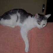 ヒメ日記 2025/03/09 20:18 投稿 ユーコ☆金津随一の神業テク ヴィーナス(金津園)