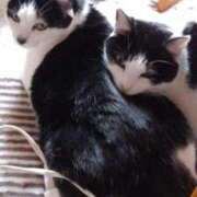 ヒメ日記 2025/03/10 18:33 投稿 ユーコ☆金津随一の神業テク ヴィーナス(金津園)