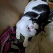 ヒメ日記 2025/03/11 17:48 投稿 ユーコ☆金津随一の神業テク ヴィーナス(金津園)