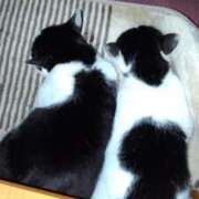 ヒメ日記 2025/03/14 18:06 投稿 ユーコ☆金津随一の神業テク ヴィーナス(金津園)