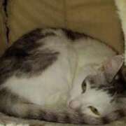 ヒメ日記 2025/03/15 12:18 投稿 ユーコ☆金津随一の神業テク ヴィーナス(金津園)