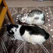 ヒメ日記 2025/03/16 21:27 投稿 ユーコ☆金津随一の神業テク ヴィーナス(金津園)