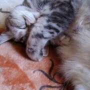 ヒメ日記 2025/03/17 19:03 投稿 ユーコ☆金津随一の神業テク ヴィーナス(金津園)