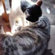 ヒメ日記 2025/03/18 17:27 投稿 ユーコ☆金津随一の神業テク ヴィーナス(金津園)