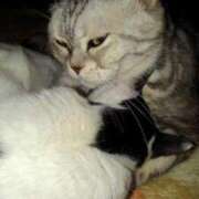 ヒメ日記 2025/03/19 18:42 投稿 ユーコ☆金津随一の神業テク ヴィーナス(金津園)