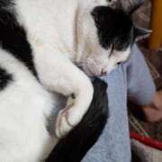 ヒメ日記 2025/03/20 12:18 投稿 ユーコ☆金津随一の神業テク ヴィーナス(金津園)